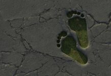 EcoVadis assessments explained