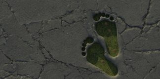 EcoVadis assessments explained