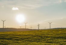 Renewable energy reached a record high: DUKES energy report 2025