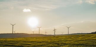 UK renewable energy reached a record high: DUKES energy report 2025 UK Renewable Energy Reaches Record High.