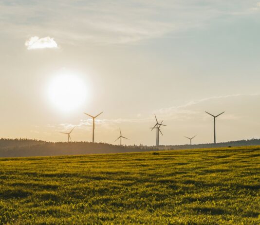 UK renewable energy reached a record high: DUKES energy report 2025 UK Renewable Energy Reaches Record High.
