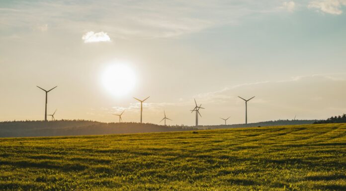 UK renewable energy reached a record high: DUKES energy report 2025 UK Renewable Energy Reaches Record High.