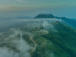 Climate Resilience and Science-Based Targets: A Practical Guide for UK Businesses