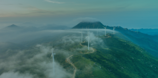 Climate Resilience and Science-Based Targets: A Practical Guide for UK Businesses