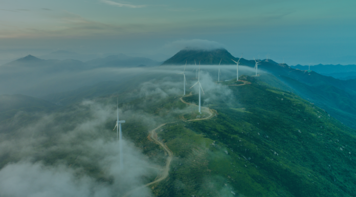 Climate Resilience and Science-Based Targets: A Practical Guide for UK Businesses