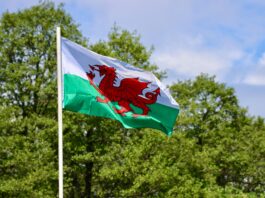 Wales sets net zero target for 2040, 10 years ahead of UK Wales Sets 2040 Net-Zero Target.
