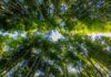 GHG Protocol and ISO move closer to a unified carbon accounting standard