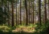 GHG Protocol and ISO move closer to a unified carbon accounting standard