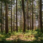 GHG Protocol and ISO move closer to a unified carbon accounting standard GHG Protocol, ISO Closer To A Unified Carbon Accounting Standard.