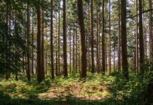GHG Protocol and ISO move closer to a unified carbon accounting standard