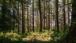 GHG Protocol, ISO Closer To A Unified Carbon Accounting Standard.