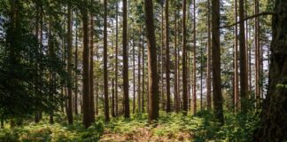 GHG Protocol and ISO move closer to a unified carbon accounting standard