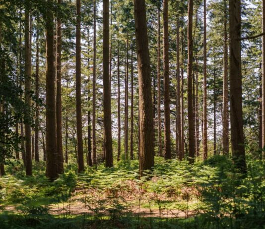 GHG Protocol and ISO move closer to a unified carbon accounting standard