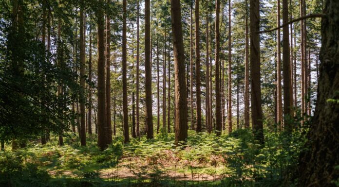 GHG Protocol and ISO move closer to a unified carbon accounting standard
