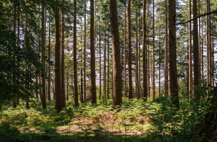 GHG Protocol and ISO move closer to a unified carbon accounting standard