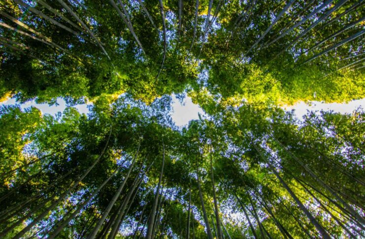 GHG Protocol and ISO move closer to a unified carbon accounting standard