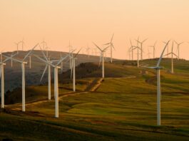Government publishes ESOS Phase 4 changes