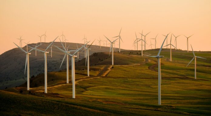 Government publishes ESOS Phase 4 changes