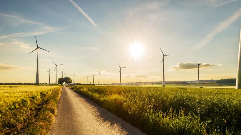 What’s Your Organisation’s Climate Resilience Score?
