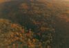 Webinar: preparing your Carbon Reduction Plan for changing public sector procurement requirements