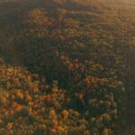 Webinar: preparing your Carbon Reduction Plan for changing public sector procurement requirements Public Sector Procurement Carbon Reduction Plan.