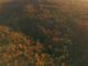 Webinar: preparing your Carbon Reduction Plan for changing public sector procurement requirements Public Sector Procurement Carbon Reduction Plan.