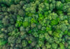 Carbon Reduction Plans Are Changing: Is Your Organisation Ready for 2027?