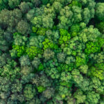 Carbon Reduction Plans Are Changing: Is Your Organisation Ready for 2027?