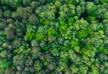 Carbon Reduction Plans Are Changing: Is Your Organisation Ready for 2027?