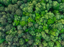 Carbon Reduction Plans Are Changing: Is Your Organisation Ready for 2027?
