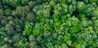 Carbon Reduction Plans Are Changing: Is Your Organisation Ready for 2027?