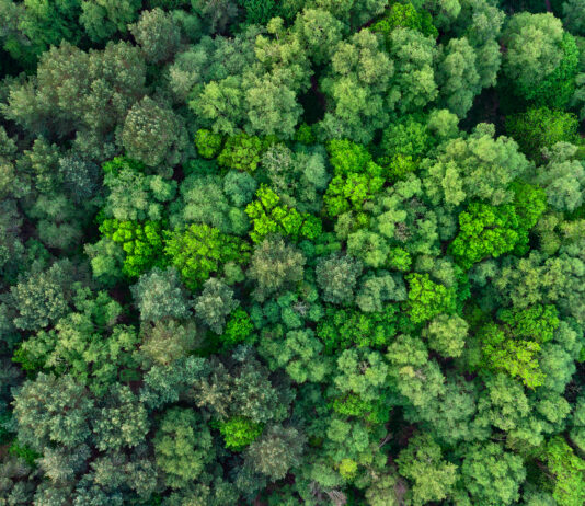 Carbon Reduction Plans Are Changing: Is Your Organisation Ready for 2027?