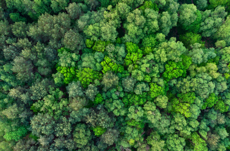 Carbon Reduction Plans Are Changing: Is Your Organisation Ready for 2027?