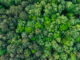 Carbon Reduction Plans Are Changing: Is Your Organisation Ready for 2027?